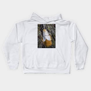 Gypsy Moth Close-up 2 Kids Hoodie